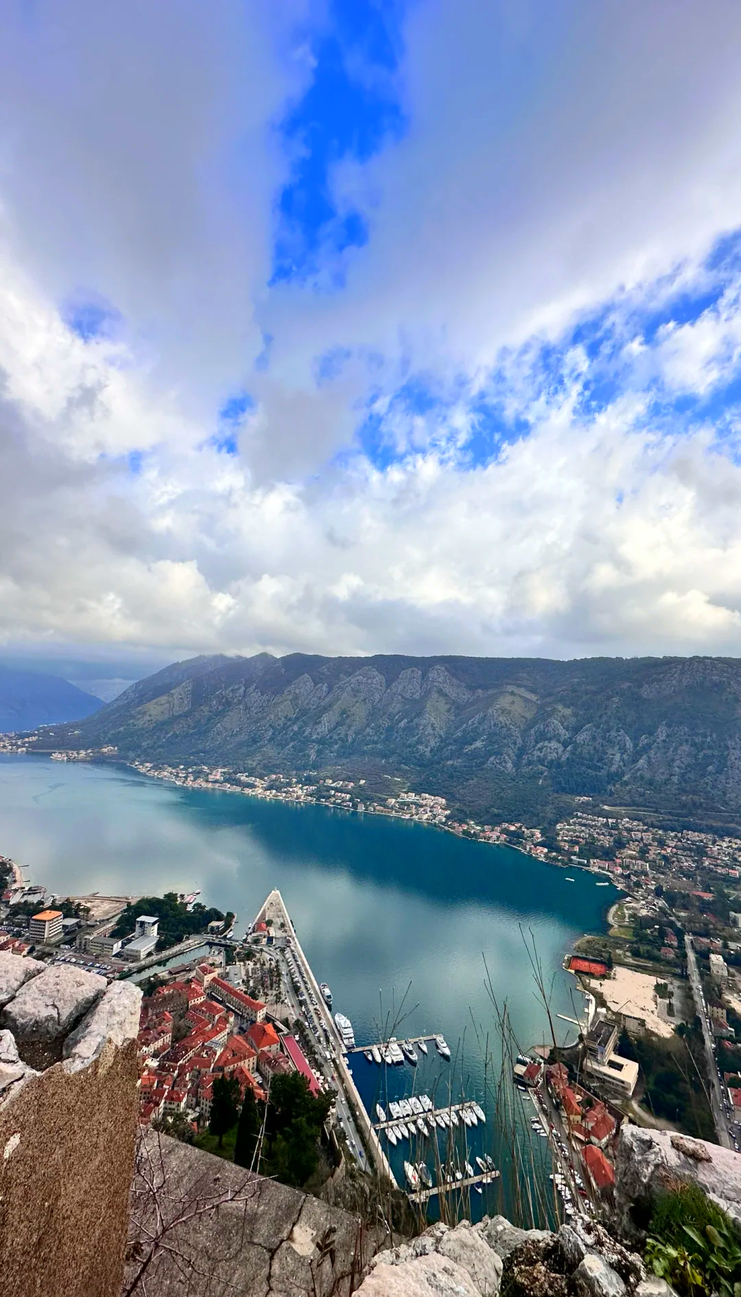 塞尔维亚战平葡萄牙，意外之喜，晋级前景蒸蒸日上的简单介绍