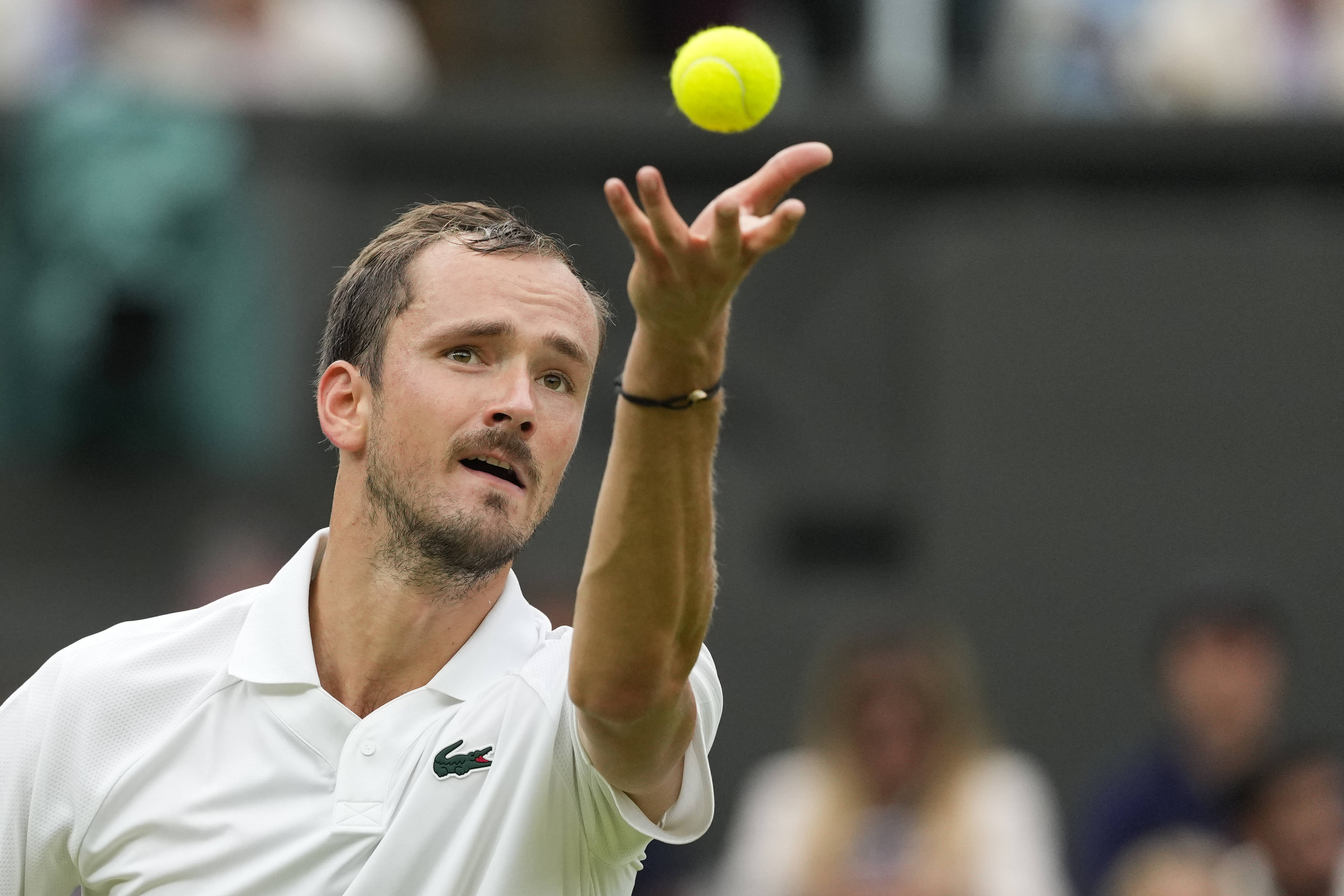 关于西班牙网球队轻取日本网球队，梅德韦杰夫打破历史纪录的信息