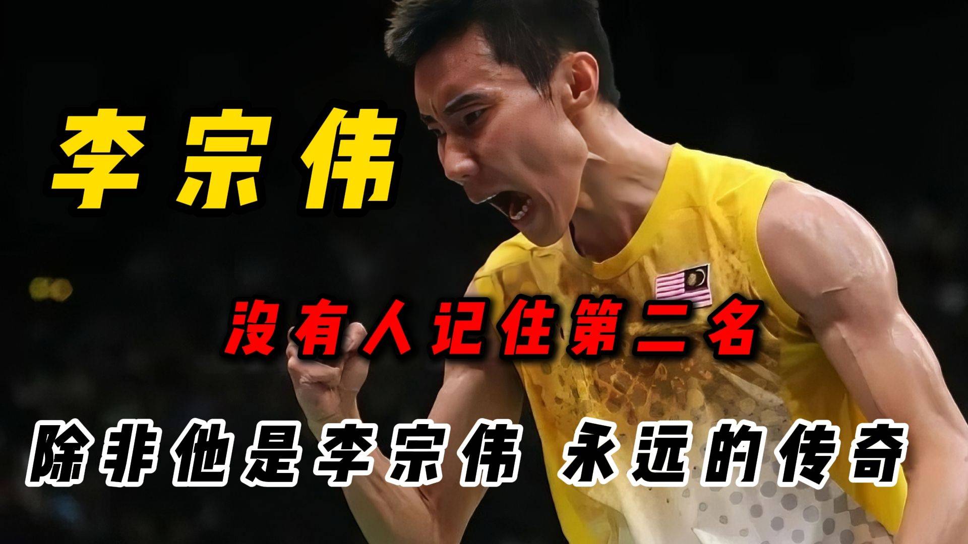 关于中国羽毛球队力克法国羽毛球队，李宗伟关键制胜的信息