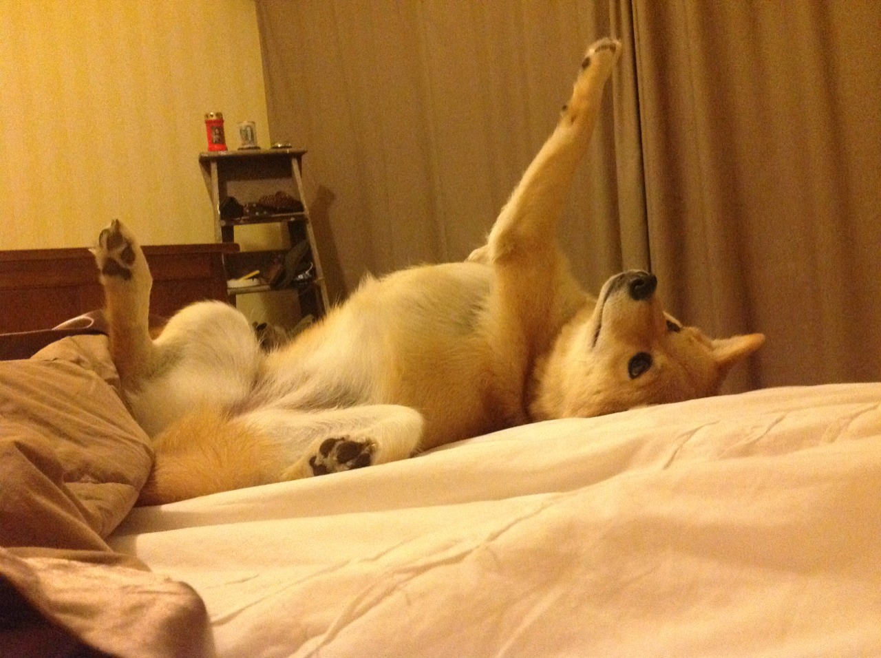 范戴克一锤定音，乌克兰奇迹夜阿森纳黯然出局