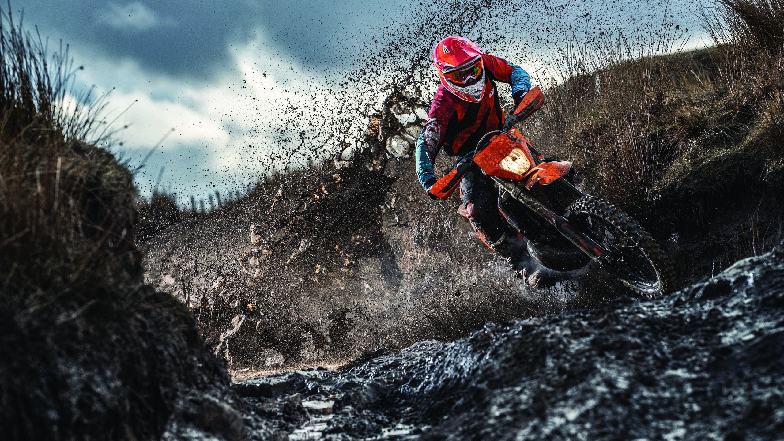 北欧风暴与东方火焰，丹麦队完胜德国队，陈雨菲点燃赛场